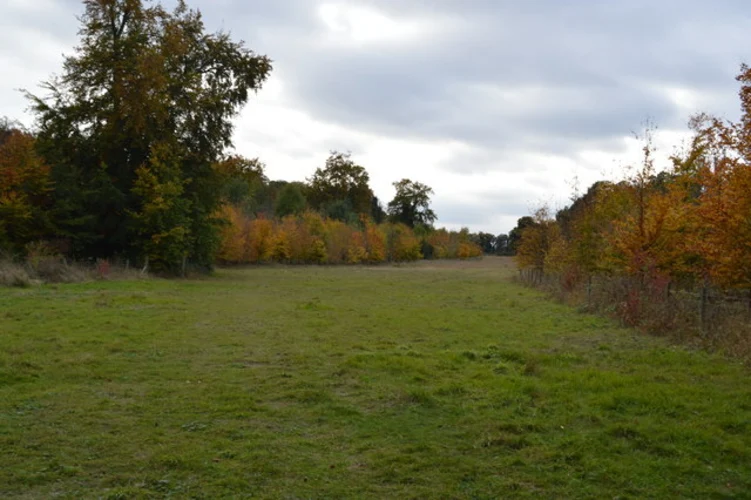 Gog Magog Hills Walk