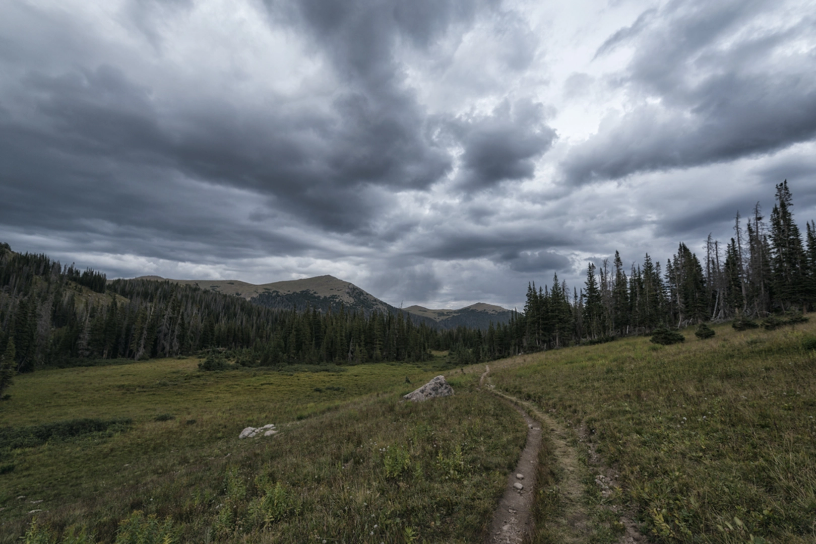 An image depicting the trail McIntyre Creek Traill via McIntyre Trail and its surrounding area.