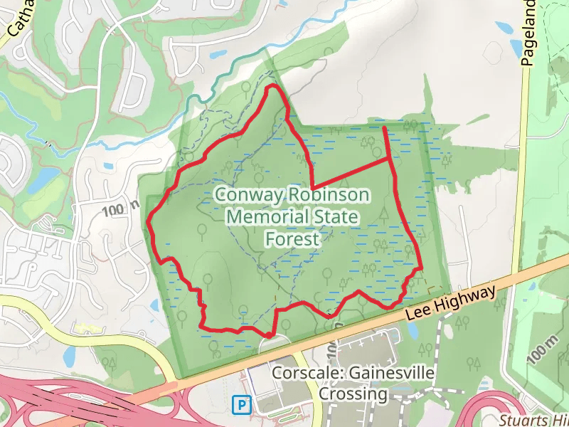 Blue Loop Trail - Conway Robinson Memorial State Forest