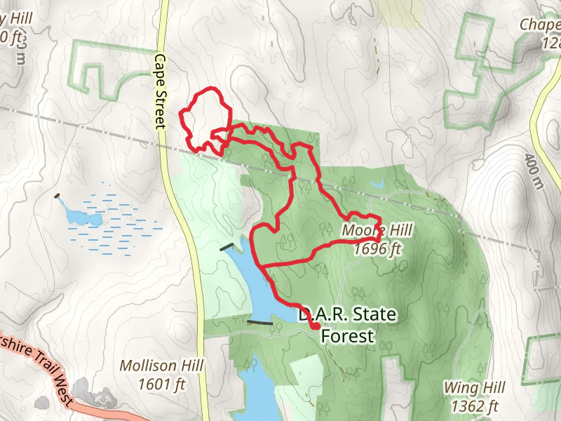 Moore Hill in DAR State Forest Loop