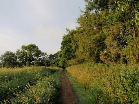 Bath Skyline Loop