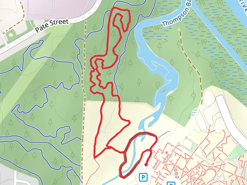 Edward Ball Nature Trail Loop