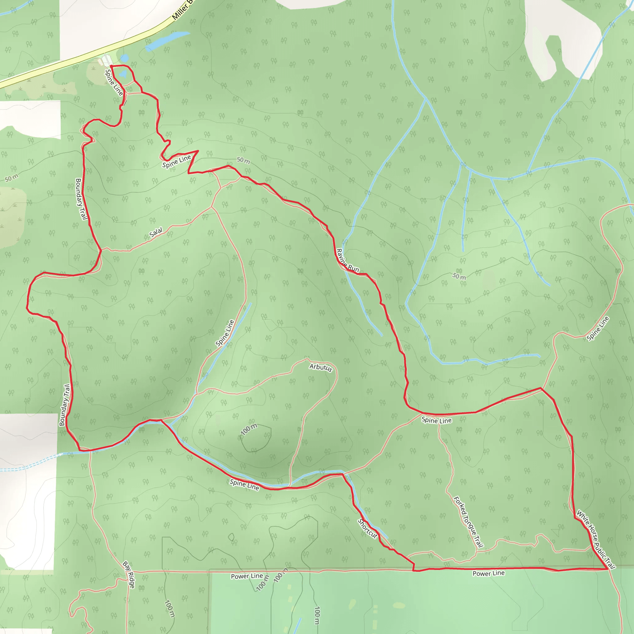 Boundary Trail and Ravine Run Loop | Kitsap County | Washington