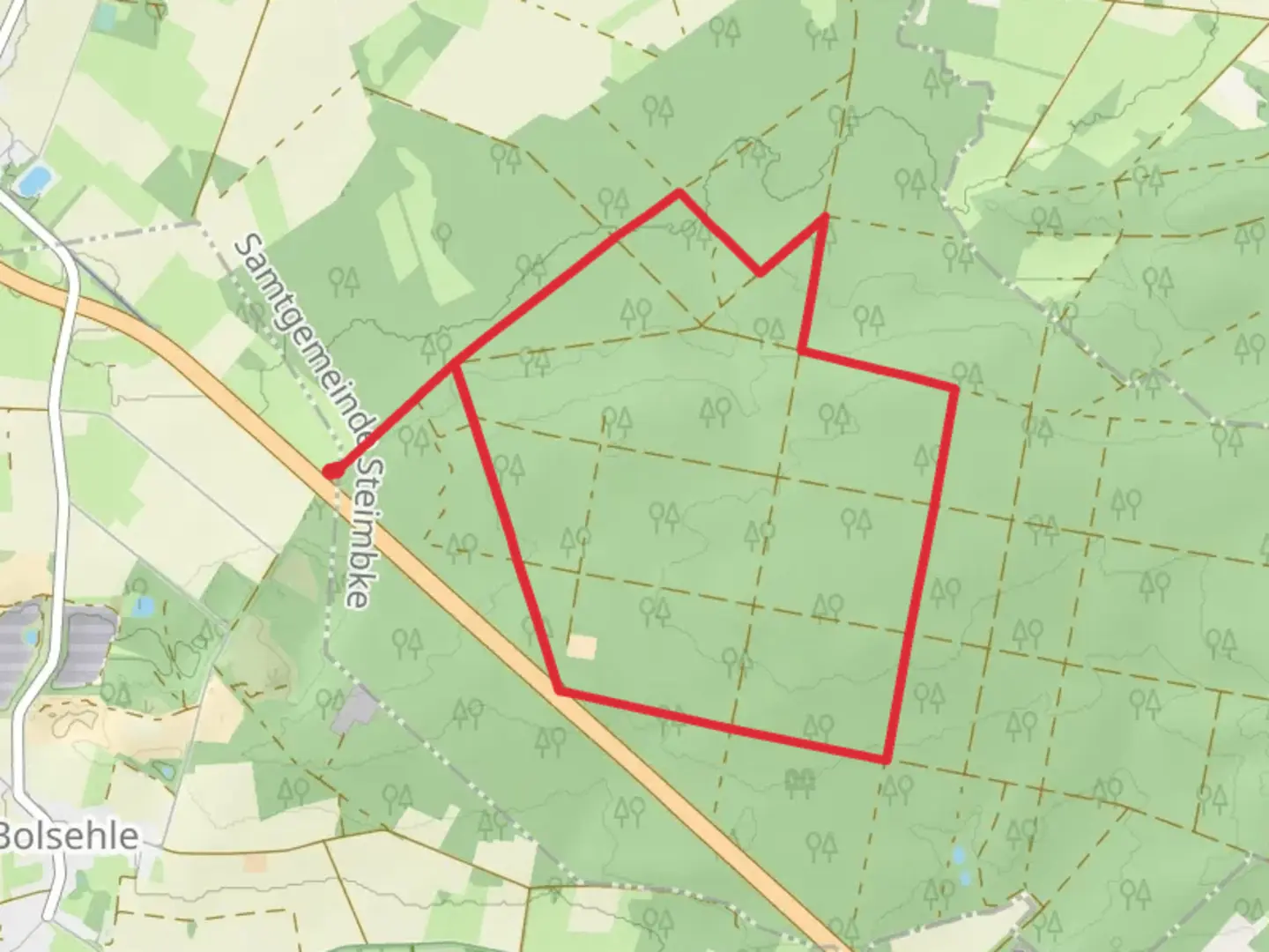 An image depicting the trail Lichtenberg Loop and its surrounding area.