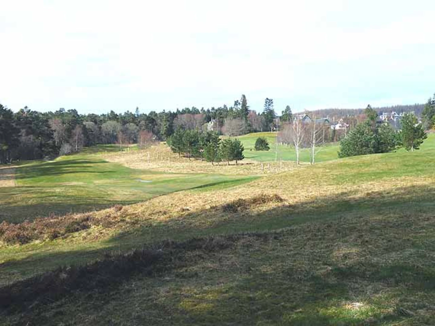 An image depicting the trail Anagach Woods Trail - Anagach Green Trail and its surrounding area.