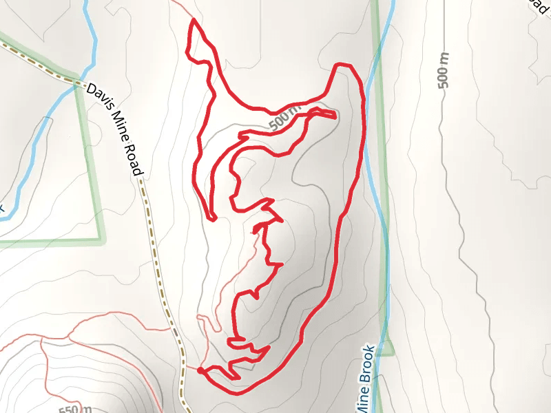 Dead Moose Trail