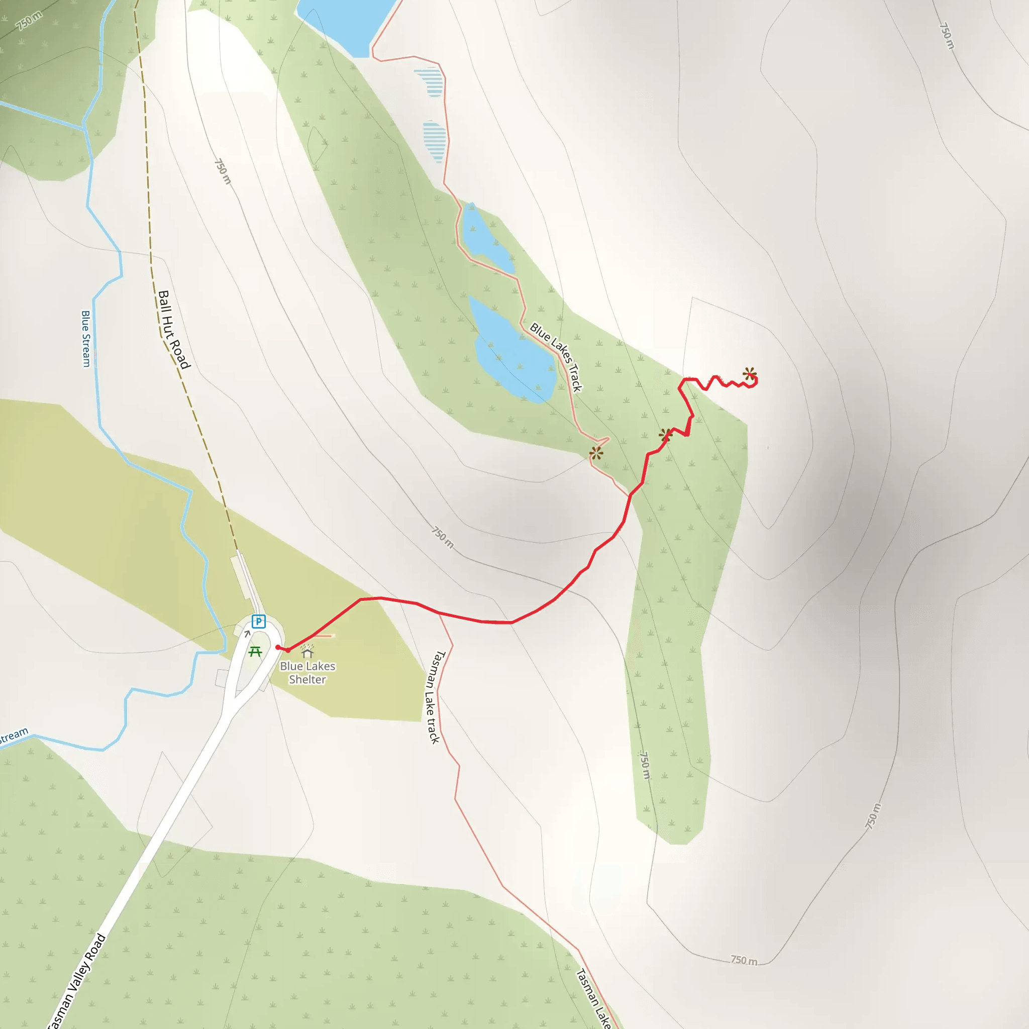 Blue Lakes and Tasman Glacier View mobile static map