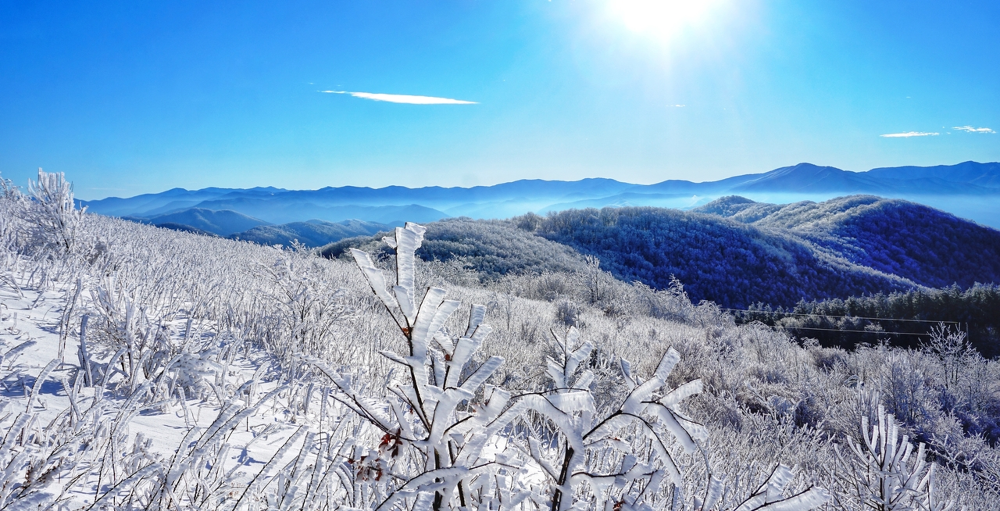 An image depicting the trail Max Patch Mountain via Max Patch Short Loop and its surrounding area.