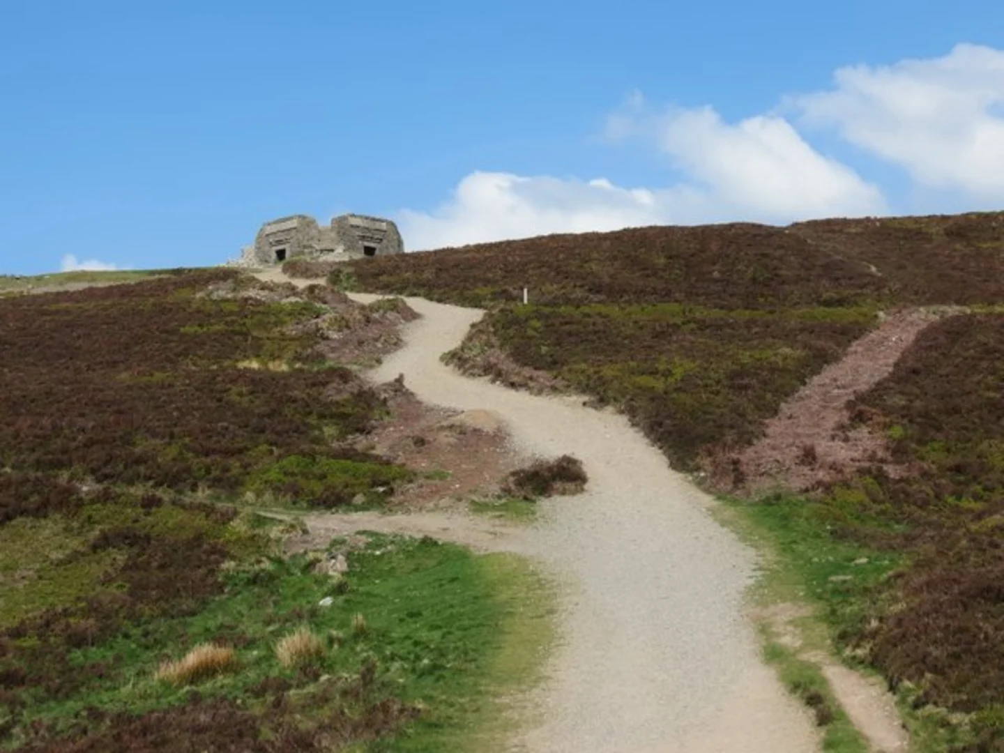 An image depicting the trail Moel Famau Country Park Loop and its surrounding area.