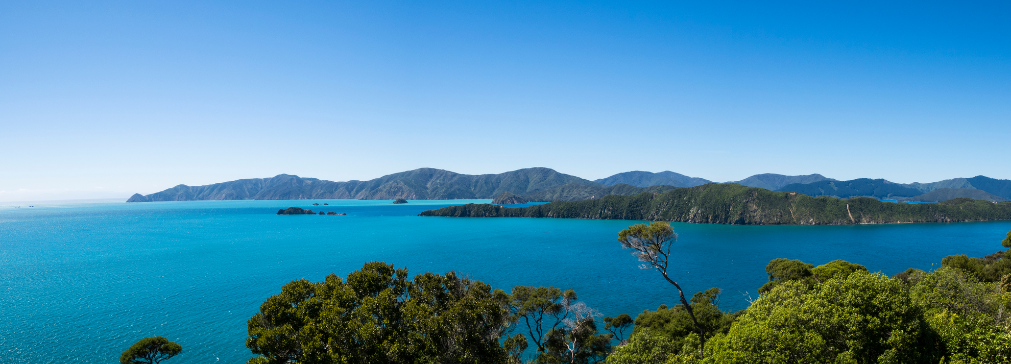 An image depicting the trail Motuara Island Lookout Track and its surrounding area.