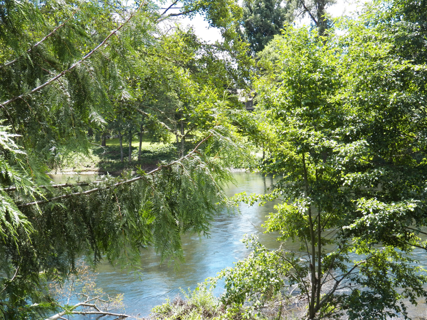 An image depicting the trail Rogue River Natural Bridge Trail and its surrounding area.