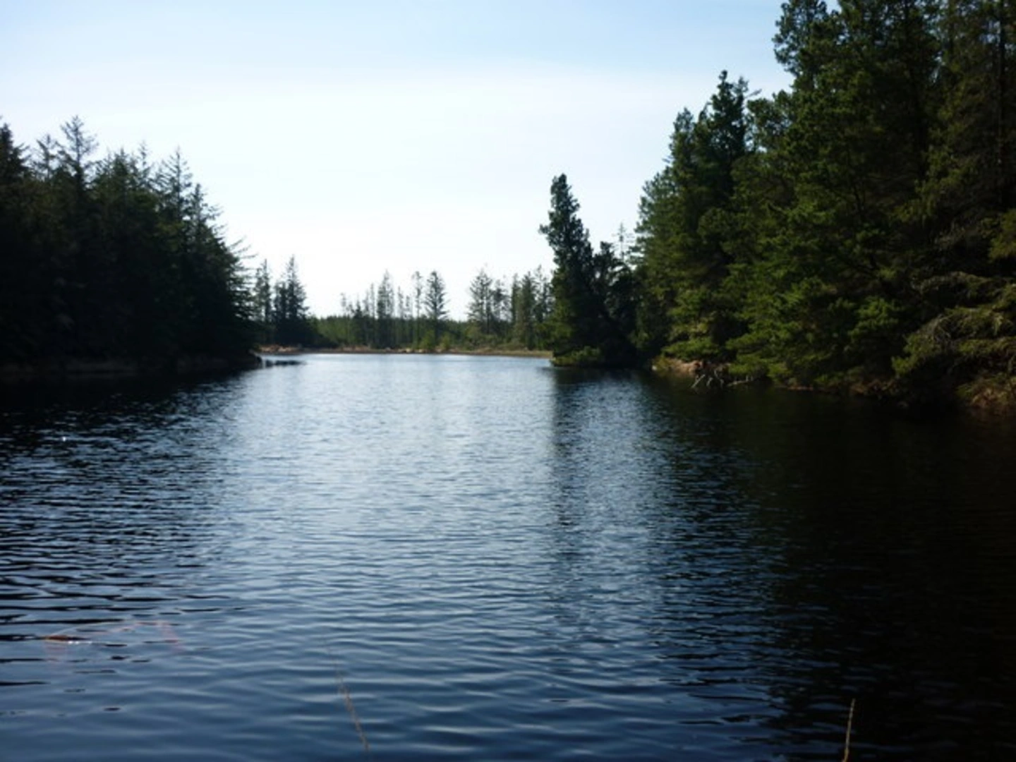 An image depicting the trail Moygownagh Loop Walk and its surrounding area.