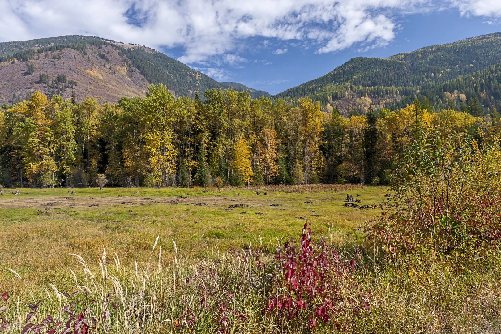 An image depicting the trail Salmo - Priest Divide Loop and its surrounding area.