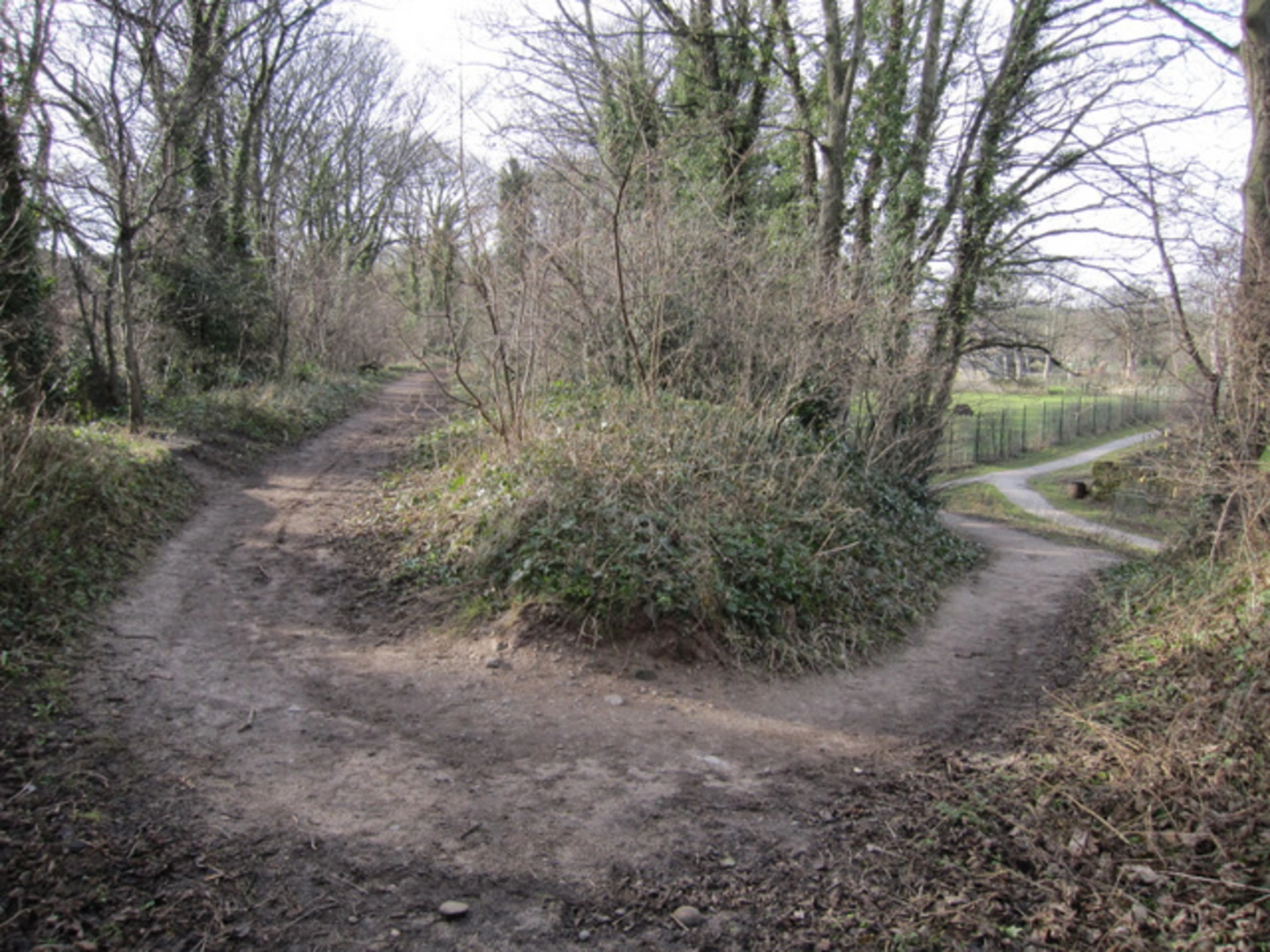 An image depicting the trail Greenfield Valley Country Park and its surrounding area.