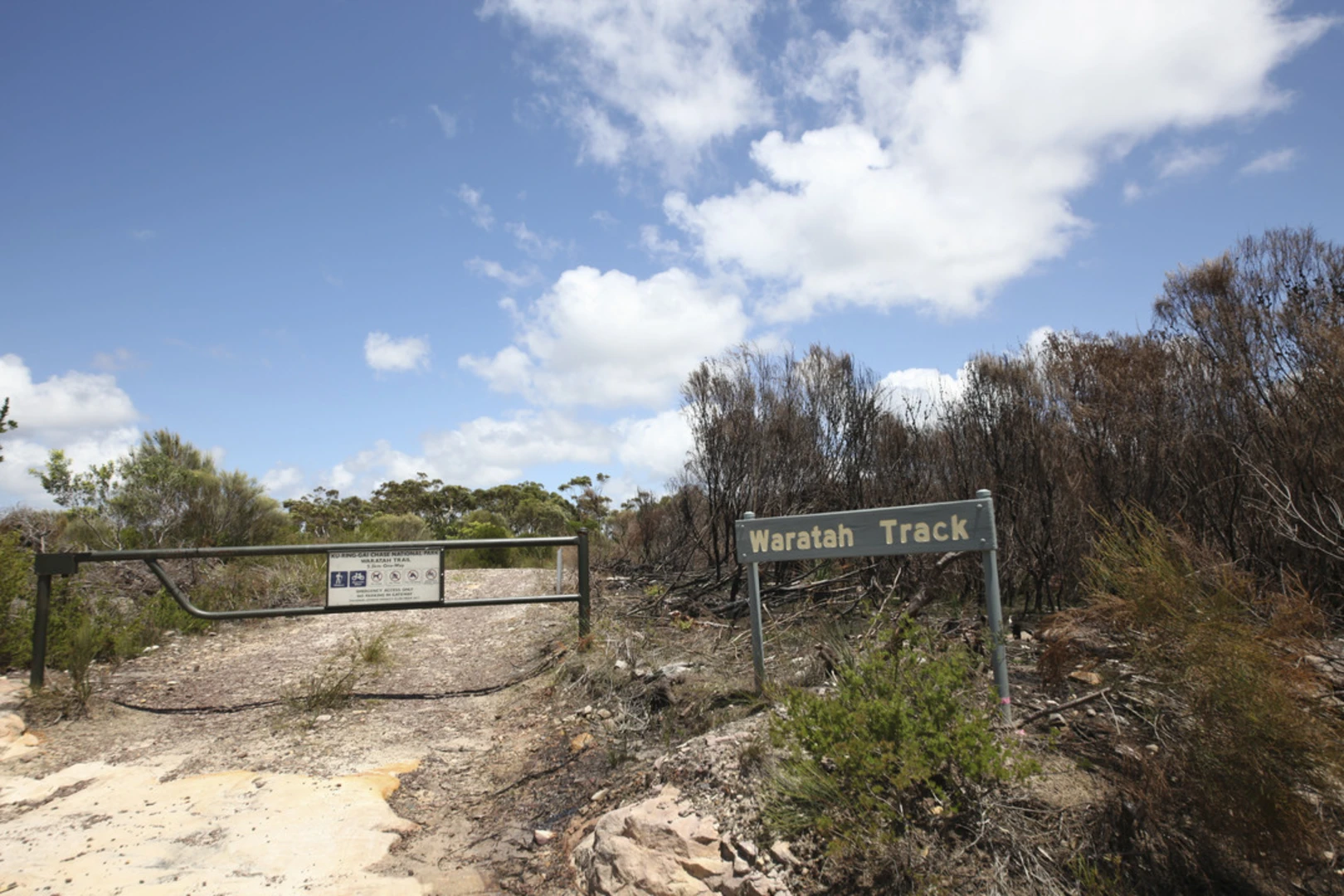 An image depicting the trail Waratah Track and its surrounding area.