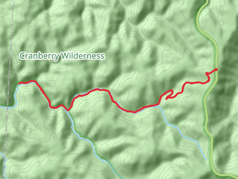 Cranberry River via North Fork Trail