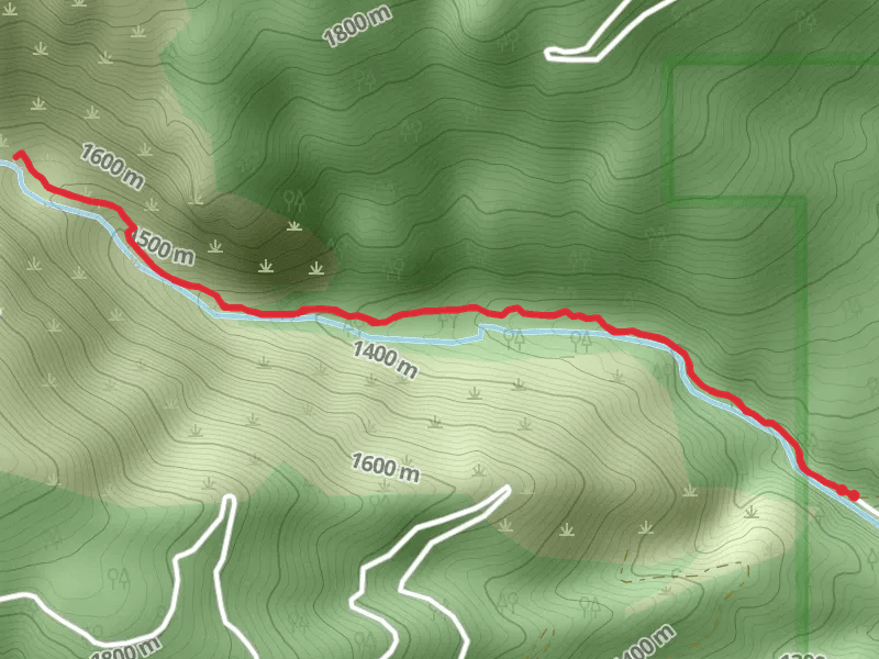 Sweathouse Creek Trail