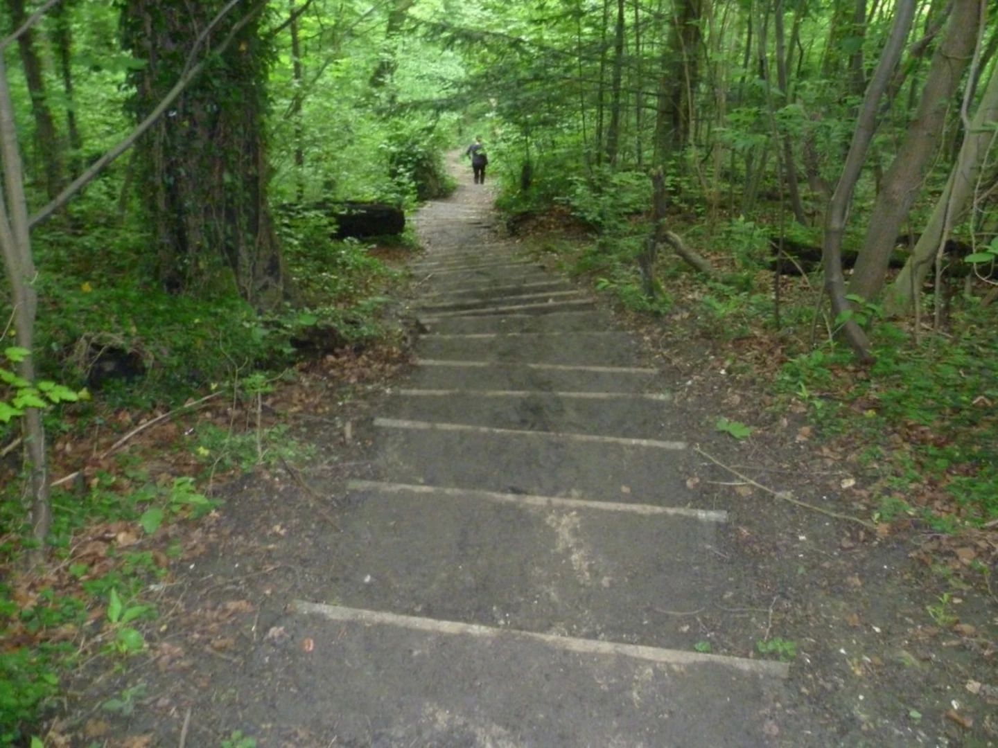 An image depicting the trail Fackenden Down Nature Reserve and White Hill Loop and its surrounding area.