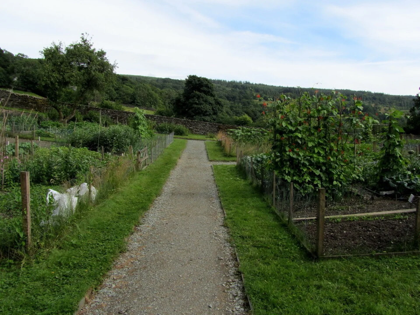 An image depicting the trail Monk Coniston Loop and its surrounding area.