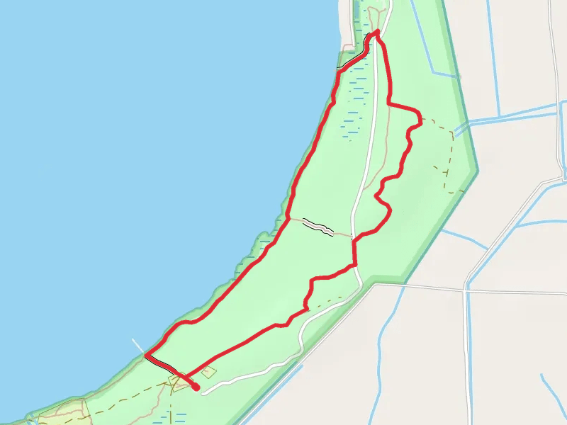 Lakeshore Trail and Pine Woods Trail