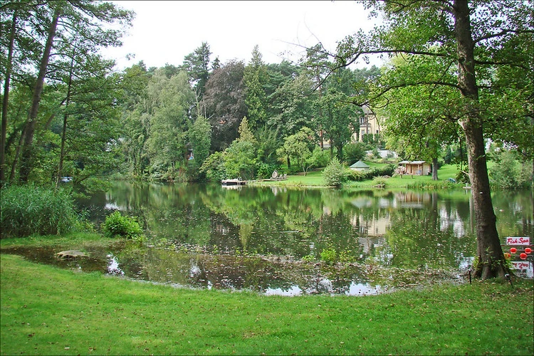 Waldsee Rieden, Maifeldblick and Udelsheck via Traumpfad Waldseepfad Rieden