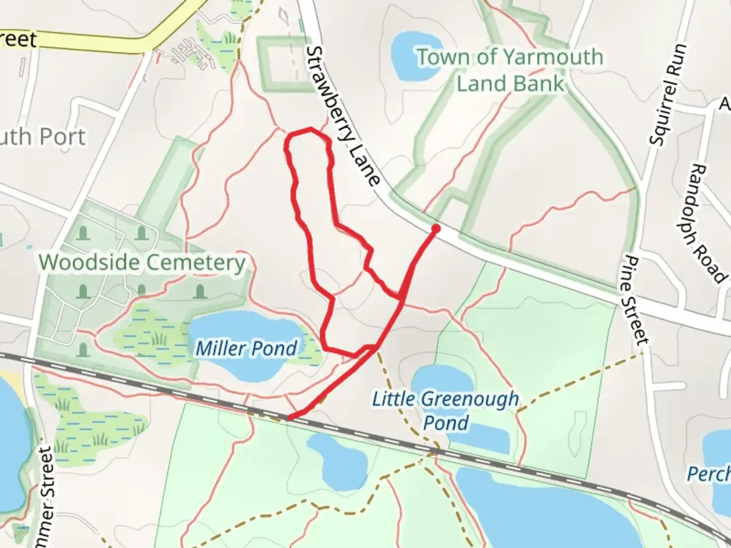 An image depicting the trail Miller Pond Loop and its surrounding area.