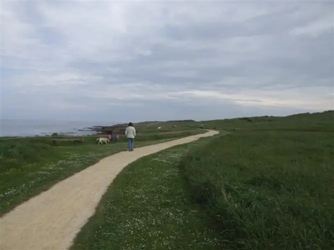 Sandhaven Beach to Sunderland Marina Walk