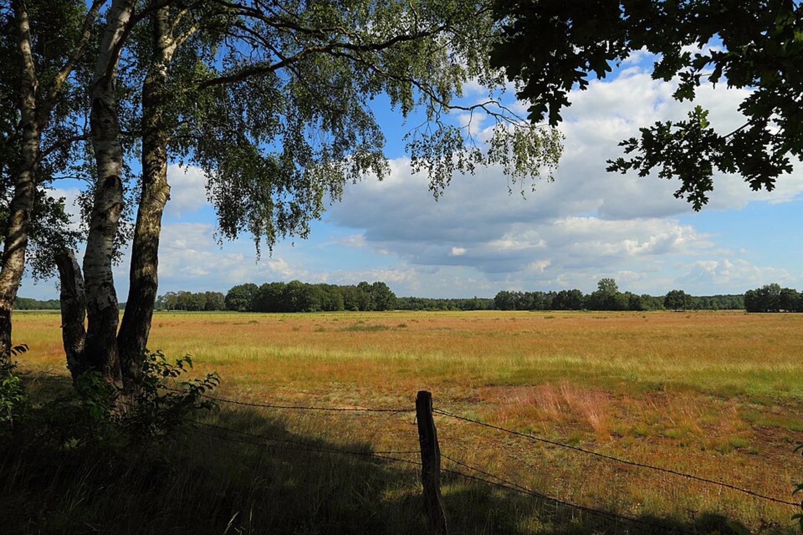 An image depicting the trail Rund um Wesseloh Wanderweg and its surrounding area.