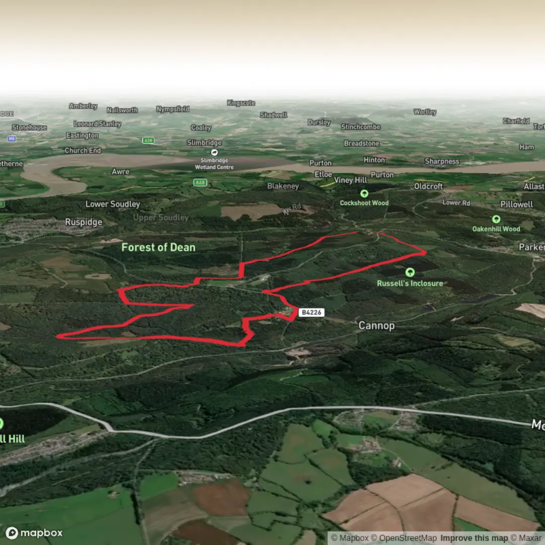 An image depicting the trail Blackpennywall Green, Speech House Lake and Reform Bridge Loop and its surrounding area.