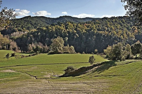 Montnegre Carener SL C 103