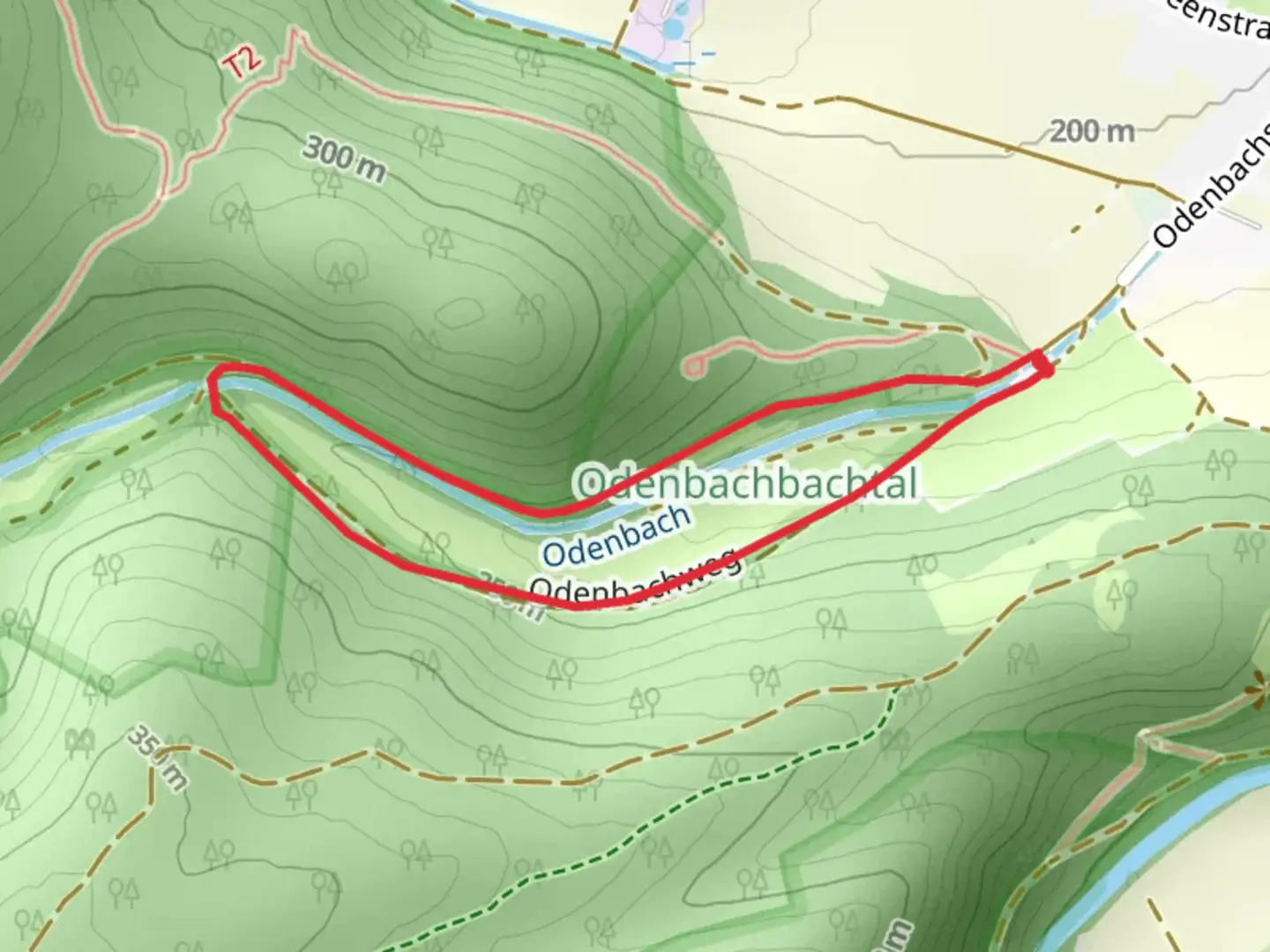 An image depicting the trail Odenbachbachtal Loop and its surrounding area.