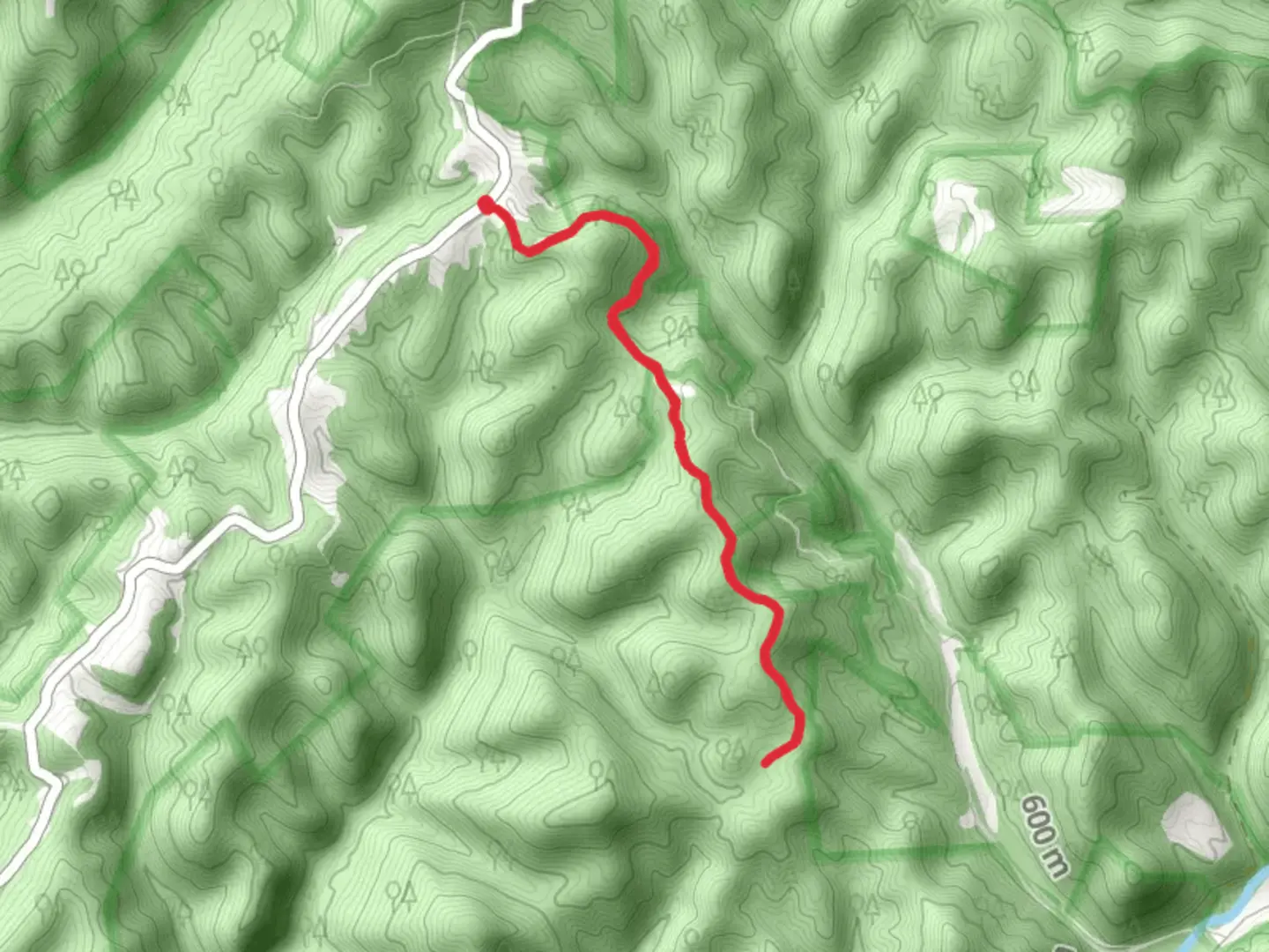 Dorman Ridge Trail | Tucker County | West Virginia
