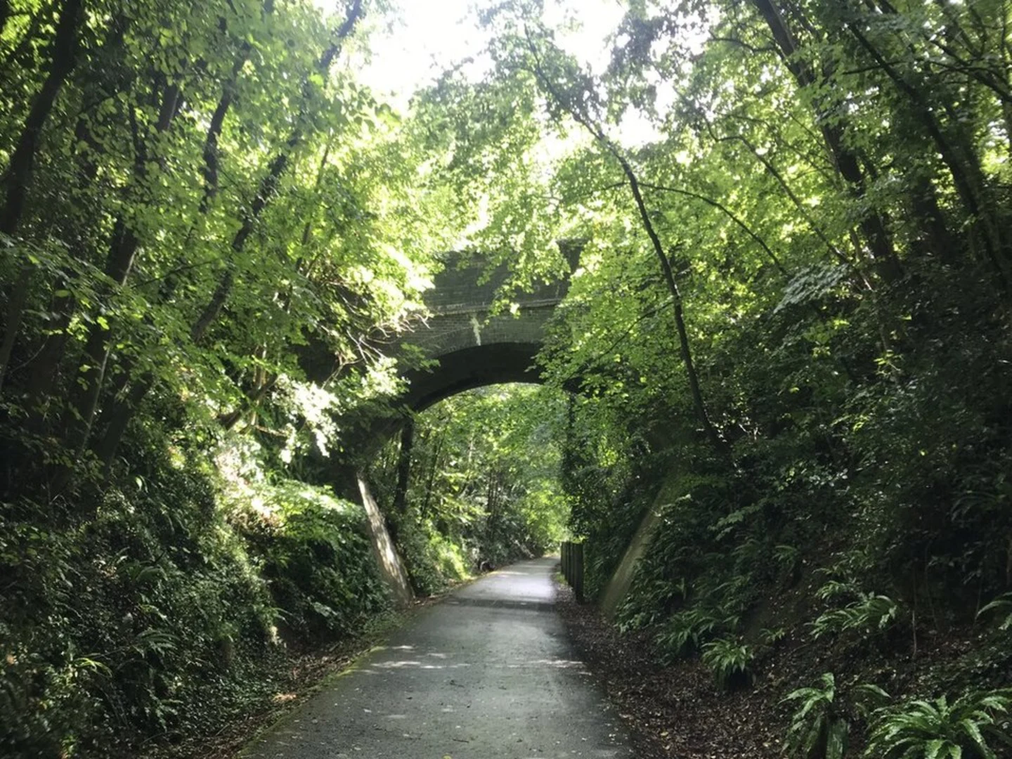 An image depicting the trail One Tunnel from Springfield Park and its surrounding area.
