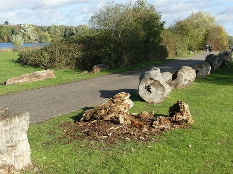 Colwick Country Park Loop