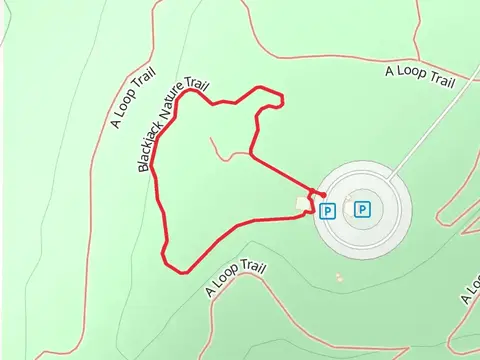 Blackjack Nature Loop Trail