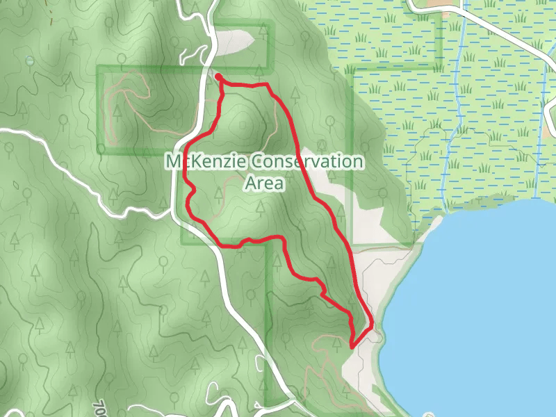 Bedrock Ridge and Turtle Rock Loop