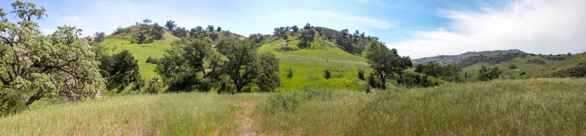 An image depicting the trail East Las Virgenes Canyon Trail and its surrounding area.