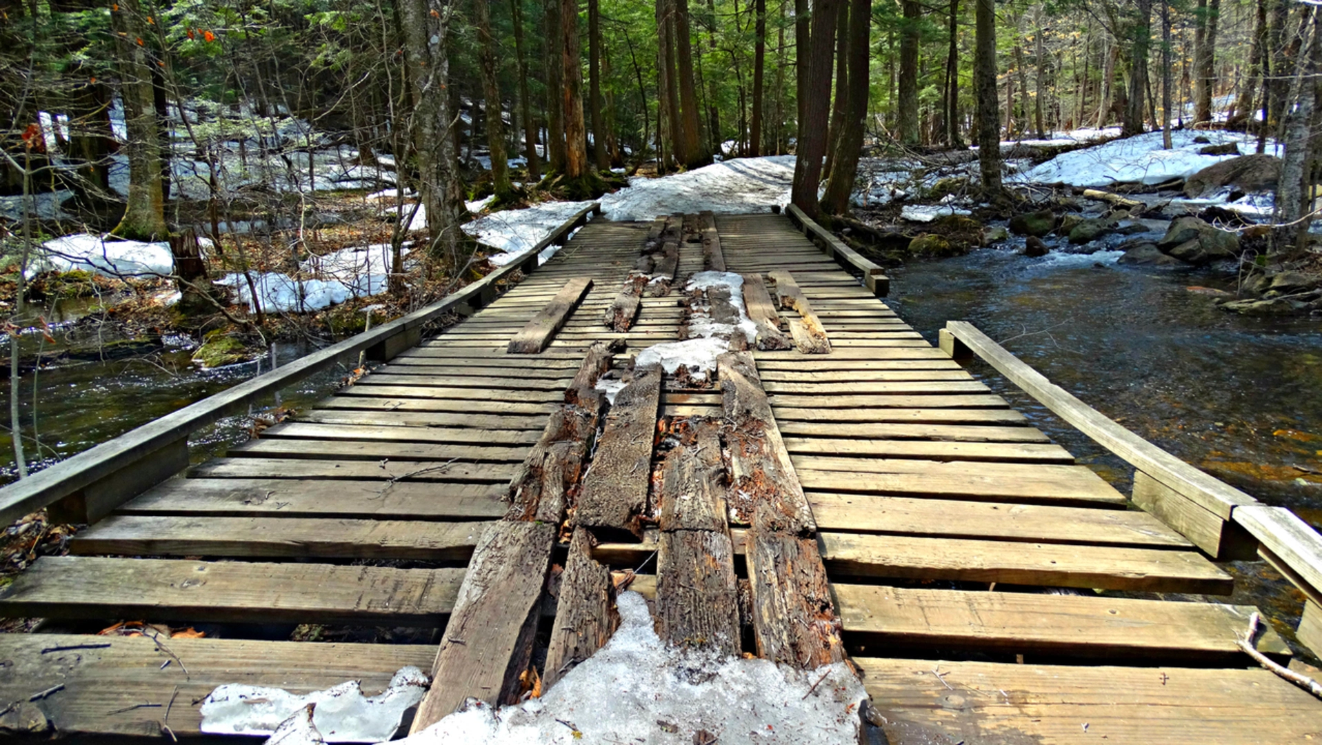 An image depicting the trail Nine Corner Lake Trail and its surrounding area.