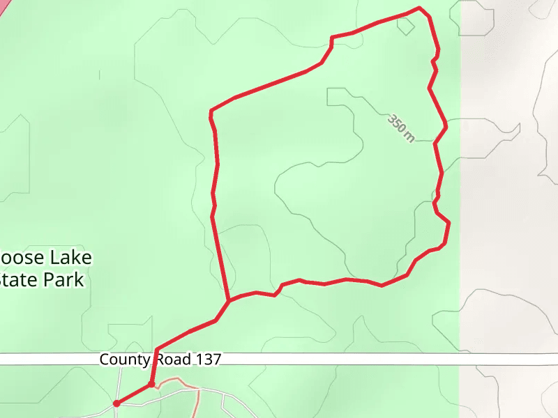 Moose Lake State Park Loop