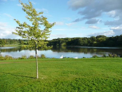 Harewood House Loop