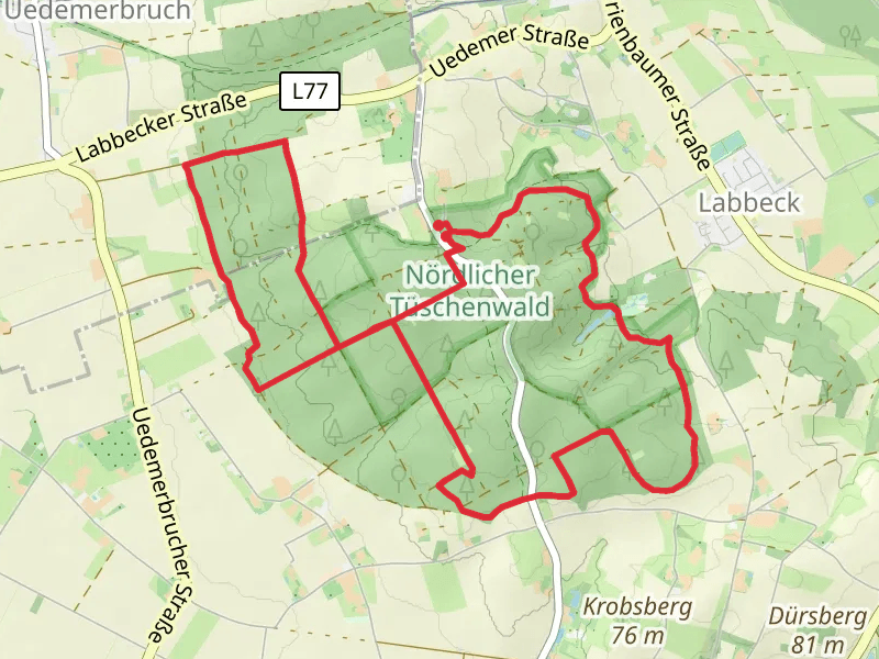 NördlicherTüschenwald Loop