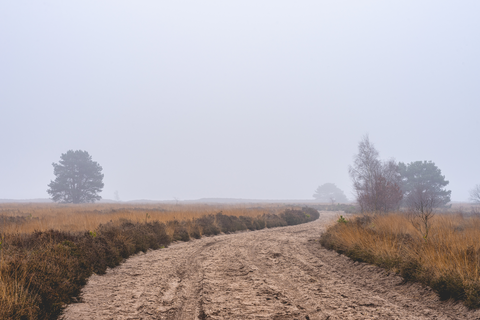 Leuvenhorst and De Zandmolen Loop