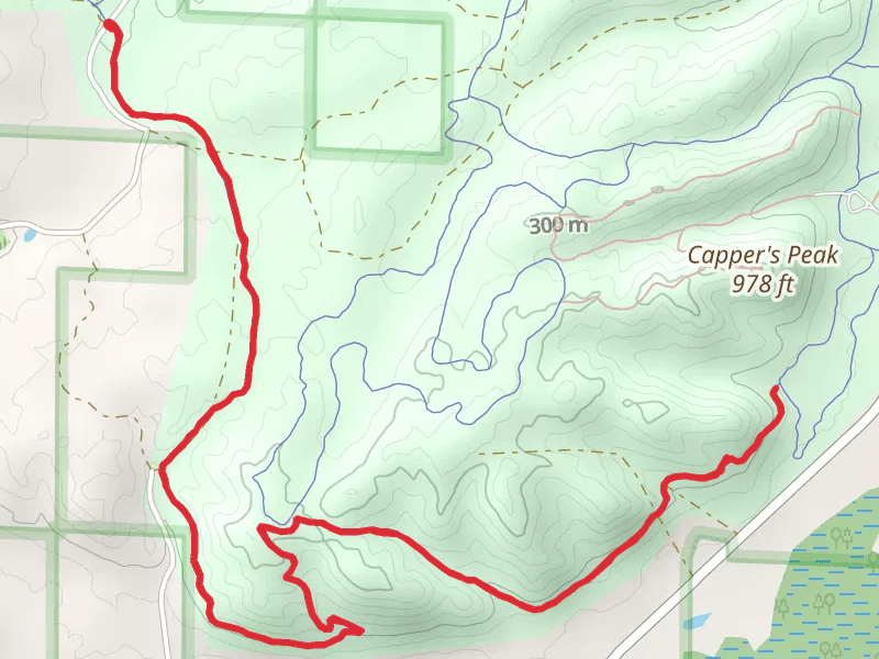 Big M - Bullwacker Trail