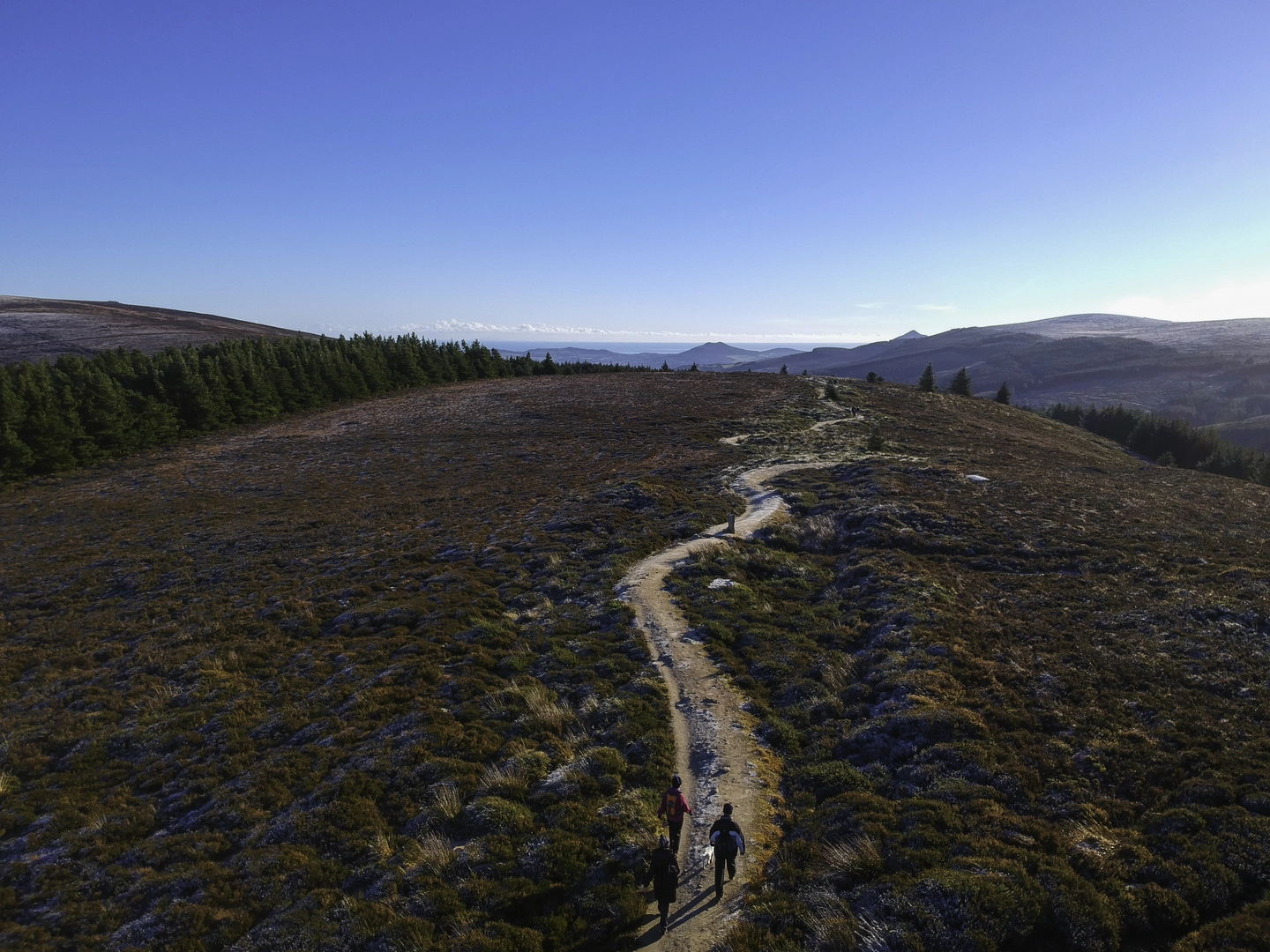 An image depicting the trail Fairy Castle, Three Rock Mountain and Two Rock Mountain Loop and its surrounding area.