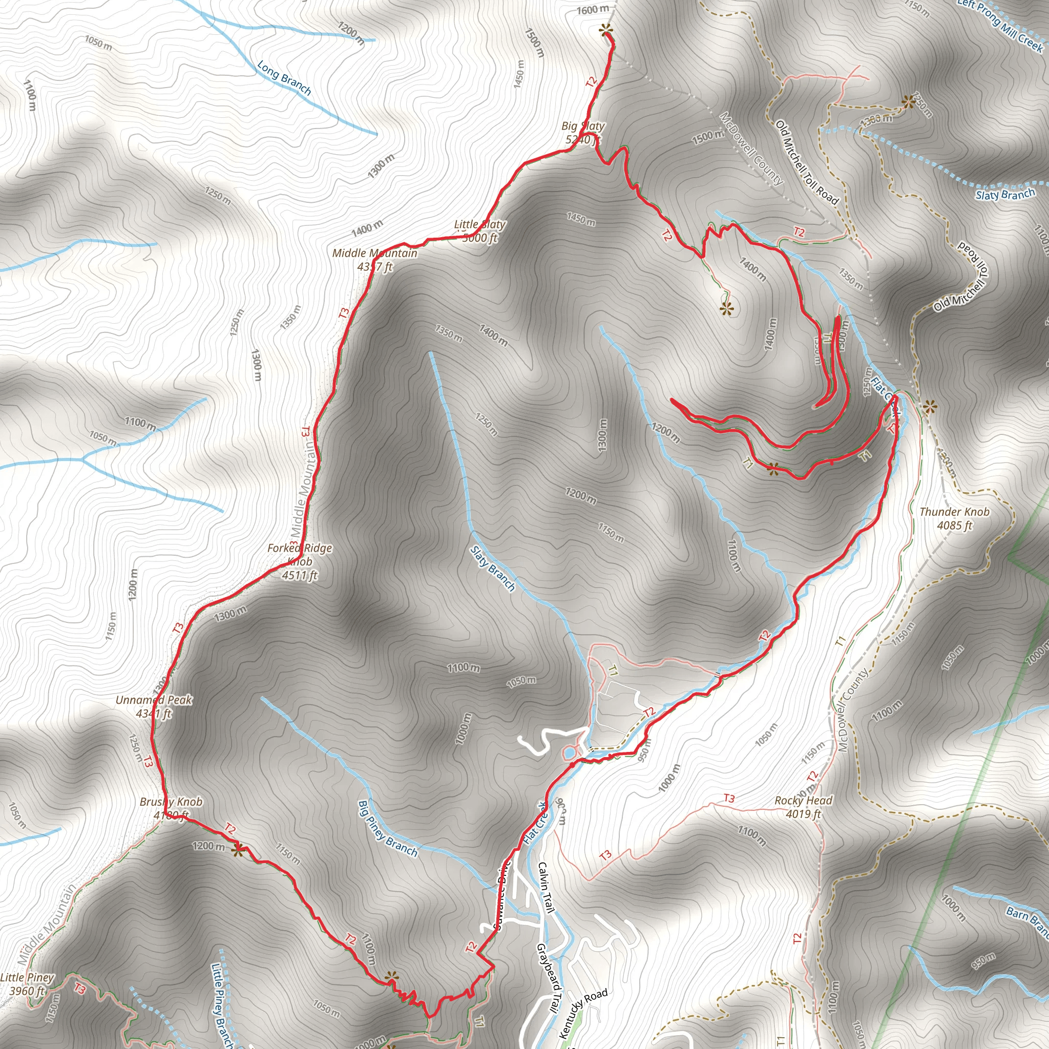 Forked Ridge Know and Greybeard Mountain Loop Trail mobile static map