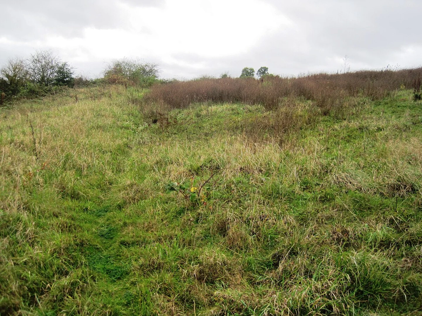 An image depicting the trail Enderby Loop and its surrounding area.