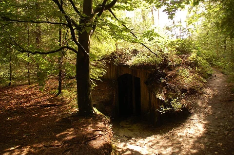 Boswachterij Nunspeet and Hendrik Mouwenveld Loop