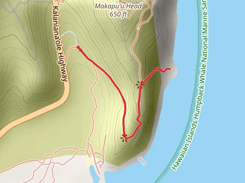 Puʻuʻokīpahulu Point via Makapu’u Lighthouse Trail