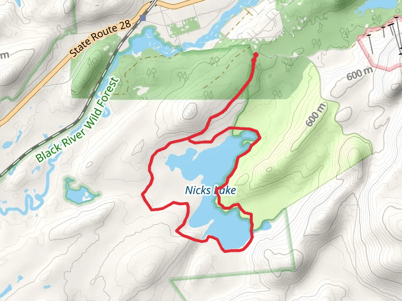 Nicks Lake from Bisby Road