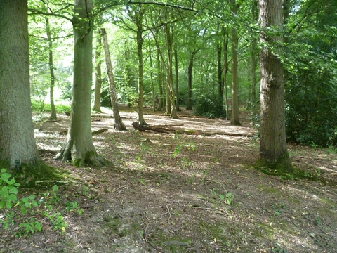 Croham Hurst Loop